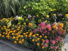-宝鸡植物园
