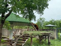 -苏州上方山国家森林公园