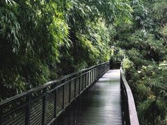 -阿哈湖国家湿地公园
