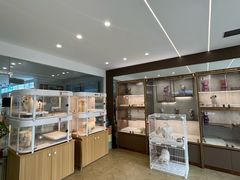 -翊宠yipet猫狗购宠庄园犬舍•猫舍