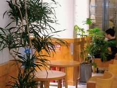 -Blueglass酸奶(财富购物中心店)