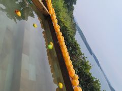 -天目湖涵田半山温泉