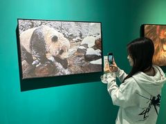 -福州海峡文化艺术中心