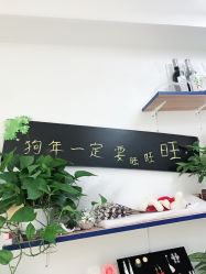 -恐龙·美甲美睫