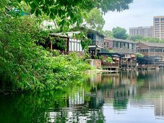 -张鸟园农家乐(张鸟园店)