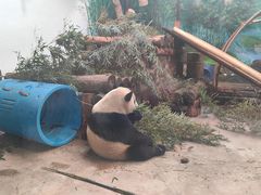 -杭州动物园