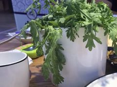 茼蒿-山河屯江鱼馆