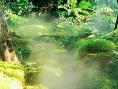 -Chom Cafe and Restaurant