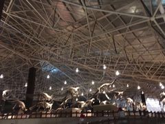 -世界恐龙谷景区