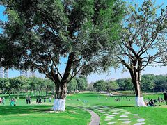 -重庆中央公园(渝北区)