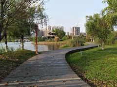 -眉山湿地公园(东坡区)