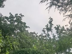 -青岛德国总督楼旧址博物馆