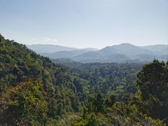 -中国科学院西双版纳热带植物园