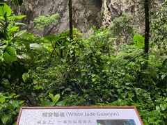 -英西峰林·洞天仙境