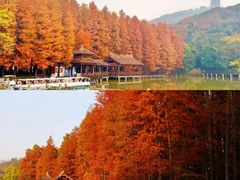 -采石矶景区