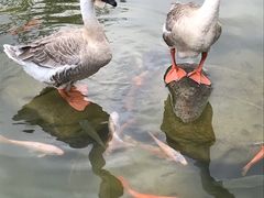 -水底山庄园温泉