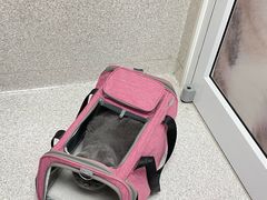 -谐和贝康宠物医院24小时·宠保定点(急重症转诊中心)