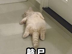 -Aqua Oasis 水天堂(石路天虹店)
