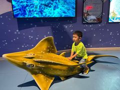 -烟台海昌鲸鲨海洋公园