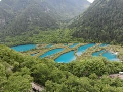 -九寨沟-树正沟
