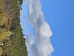 -莫尔道嘎国家森林公园