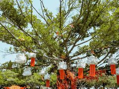 -南沙蒲洲花园