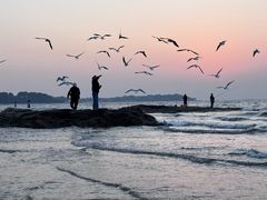 -老虎石海上公园