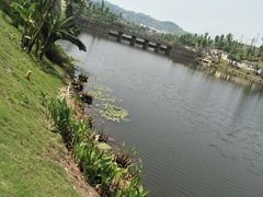 -枫香湖儿童公园