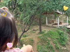 -石家庄市动物园