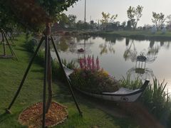 -荷兰花海