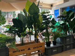 -SENTEA森茶(麦地丽日店)