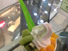 -Salud撒露欧洲冻酸奶(北苑上品店)