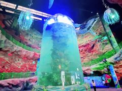 -青岛嘉年华主题乐园