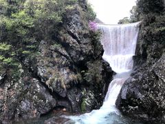 -祁门牯牛降观音堂风景区