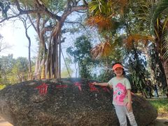 -瑞丽独树成林风景区