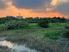 -广东花都湖国家湿地公园