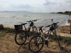 -呈贡滇池生态湿地公园