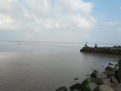 -南汇嘴观海公园