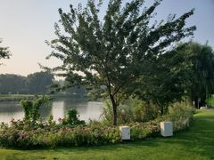 -万柳高尔夫俱乐部