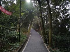-白云山风景名胜区