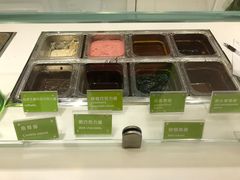 -Salud撒露欧洲冻酸奶(蓝色港湾店)