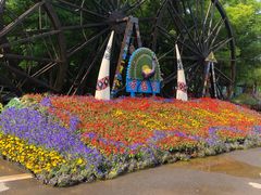 -呀路古热带植物园