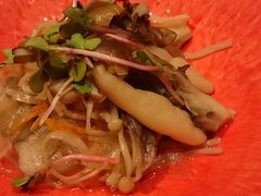 -松涛日本料理