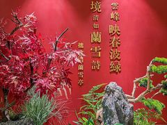 -米桃-吴韵风雅·拙园(北外滩来福士店)