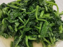 清炒豆苗-熠盛粤味·顺德桑拿鸡(永康路店)