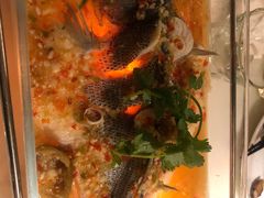 招牌柠檬鱼-佬肥猫(国华广场店)