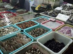 -南沙十九涌渔人码头-南门