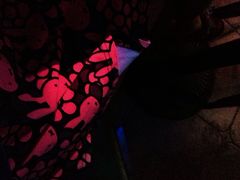 好久不见乐队弹唱酒吧-好久不见网红乐队酒吧(鼓浪屿海底世界店)