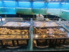 -九月海·海鲜自助(世纪东方店)