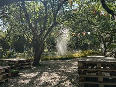 -名花谷生态庄园